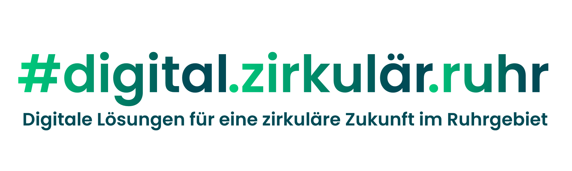 dzr logo schriftzug.png